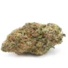 Buy Girl Scout Cookies strain online in Vienna