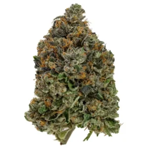 Buy Godfather OG strain online in Vienna