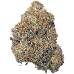 Buy Purple Haze strain online in Vienna