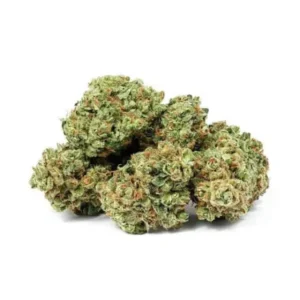 Buy Apple Fritter strain online in Vienna