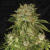 MK Ultra OG Seeds