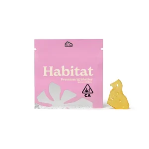 Buy Champagne Shatter in Vienna