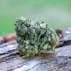 Order Hella Jelly weed in Vienna