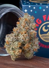 Buy Fig Farms Krypto Chronic Vienna